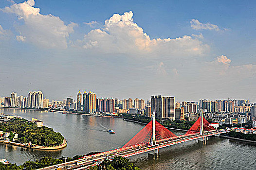 bạch thu lo mb