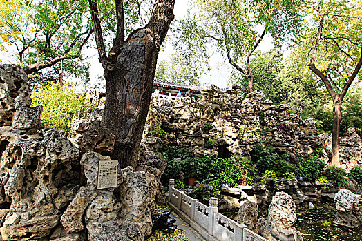 cau lo rong bach kim