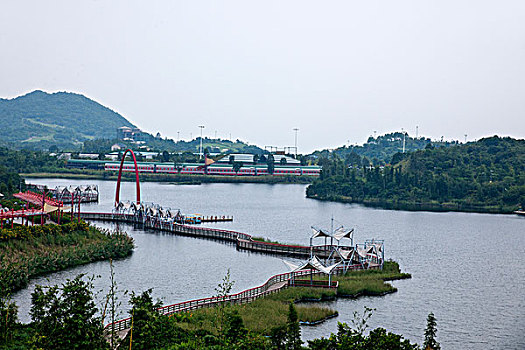 soi rong bạch kim