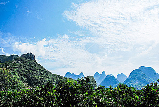 rong bach kim 888 giờ chốt vàng