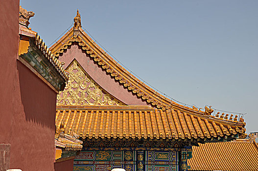 soi câu rong bạch kim