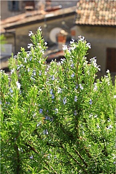 xổ số an giang 30 ngày