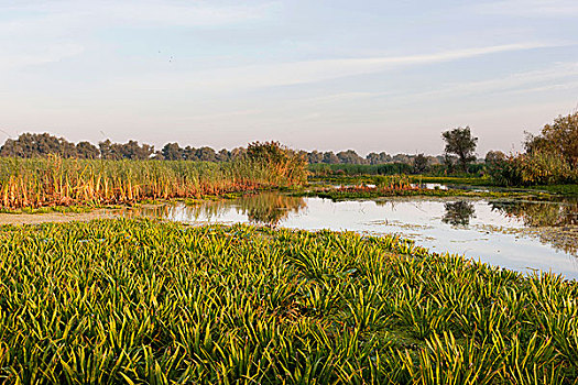xổ số trực tiếp ba miền