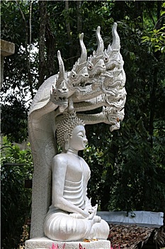 dự đoán kết quả xổ số đồng nai