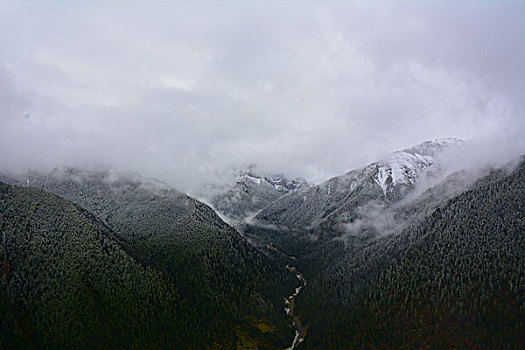 nha cai lo de uy tin