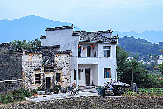 soi cau sieu vip
