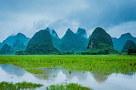 xổ số miền bắc theo tháng