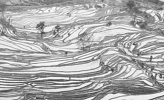 soi cầu lô miền bắc 24h