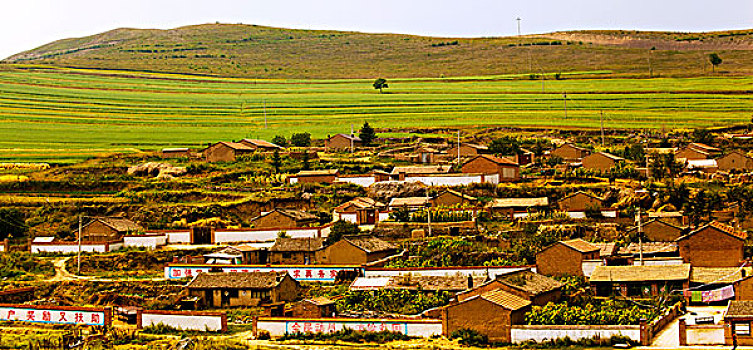 du doan dau duoi